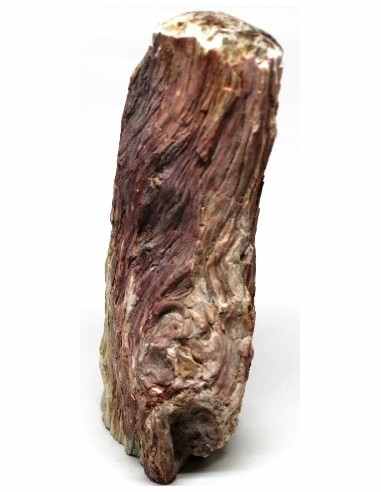 Bois fossilise bases polis 64 a 88g