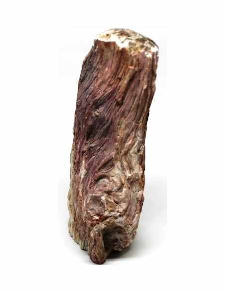 Bois fossilise bases polis 64 a 88g