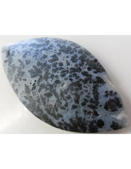 Agate dendritique, agate plume