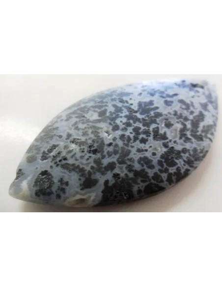 Agate dendritique, agate plume