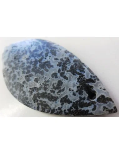 Agate dendritique, agate plume