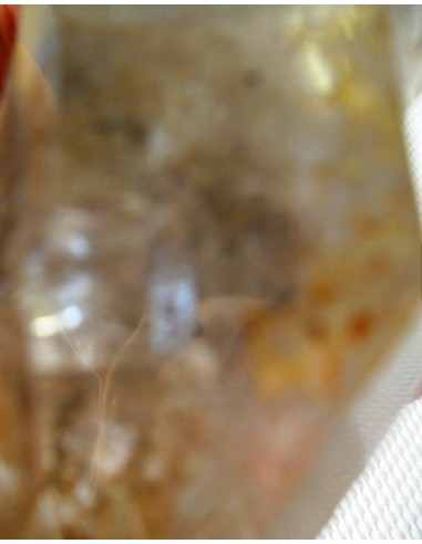 Quartz sceptre bipointé avec goutte d'eau