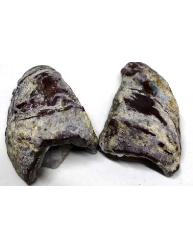 Coupelle Agate bleue