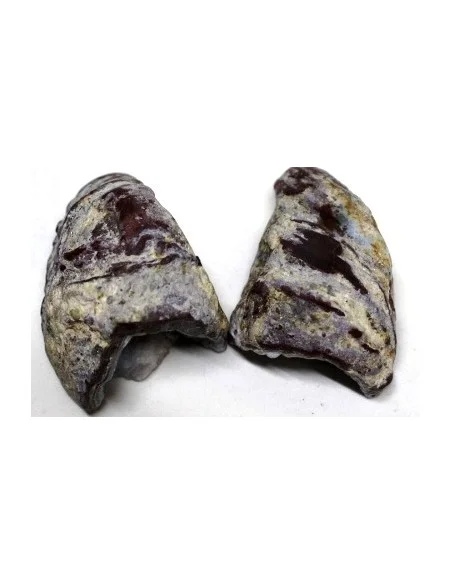 Coupelle Agate bleue