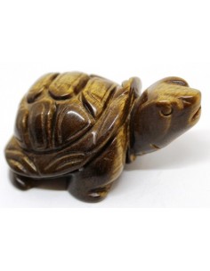 Tortue oeil de tigre