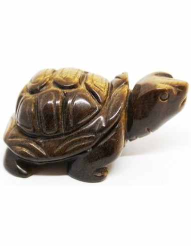 Tortue oeil de tigre