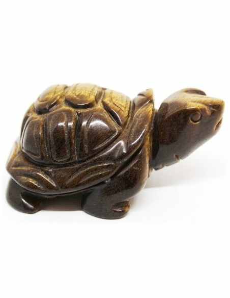 Tortue oeil de tigre
