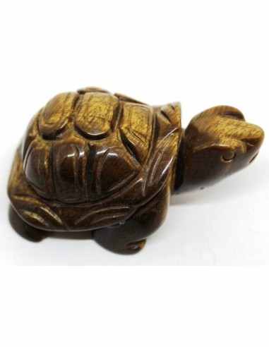 Tortue oeil de tigre