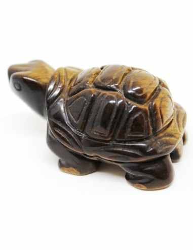 Tortue oeil de tigre