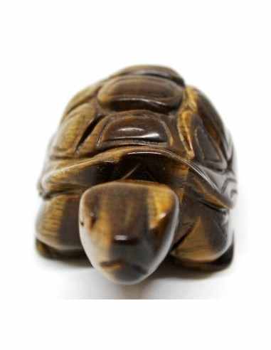 Tortue oeil de tigre