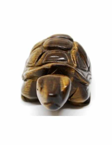 Tortue oeil de tigre