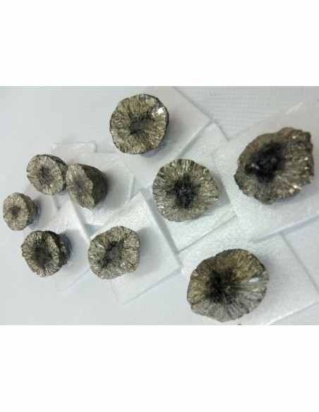 Marcassite brute Marcassite brute