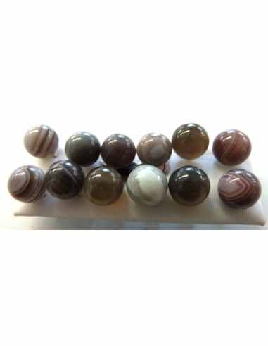Agate de botswana boucles d"oreilles 10mm
