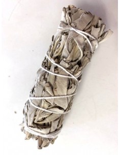 Baton de fumigation Sauge Blanche 2