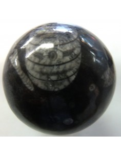 Sphere Orthoceras fossile 2