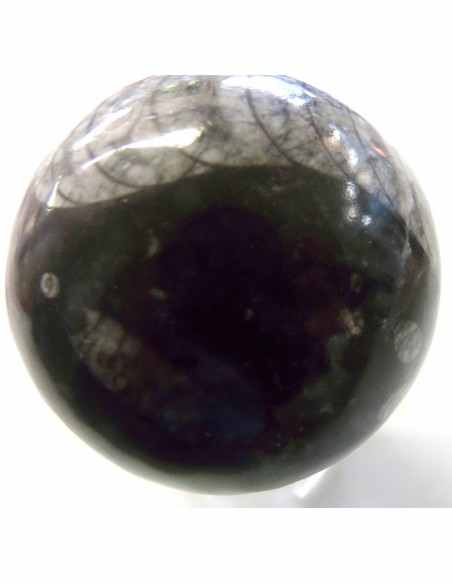 Sphere Orthoceras fossile
