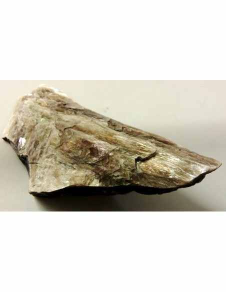 Mica golden mineral Mica golden mineral