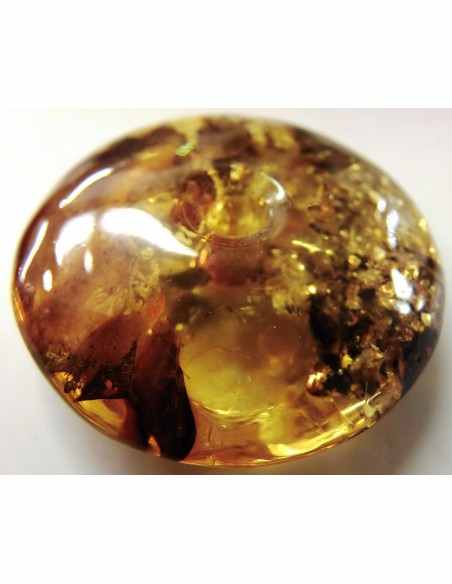 Spectaculaire Ambre en donuts Spectaculaire Ambre en donuts