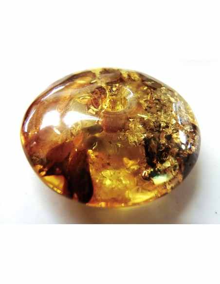 Spectaculaire Ambre en donuts Spectaculaire Ambre en donuts