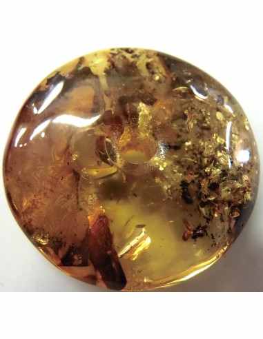 Spectaculaire Ambre en donuts