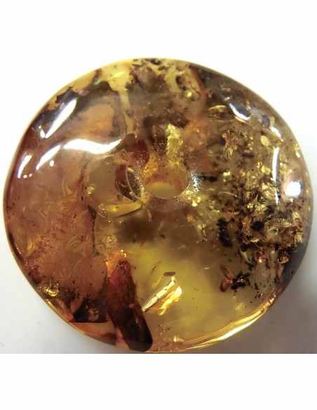 Spectaculaire Ambre en donuts Spectaculaire Ambre en donuts