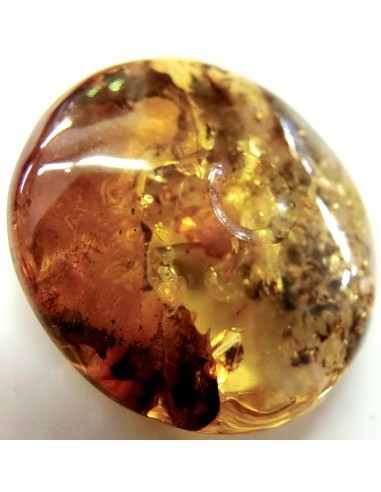 Spectaculaire Ambre en donuts