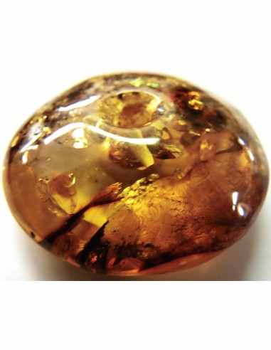 Spectaculaire Ambre en donuts