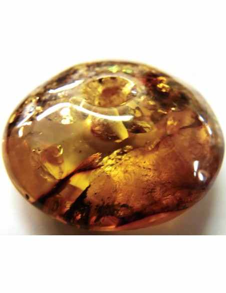 Spectaculaire Ambre en donuts Spectaculaire Ambre en donuts