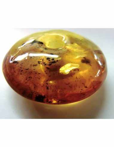 Donuts Ambre 40mm