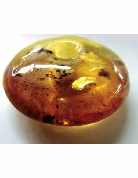 Donuts Ambre 40mm