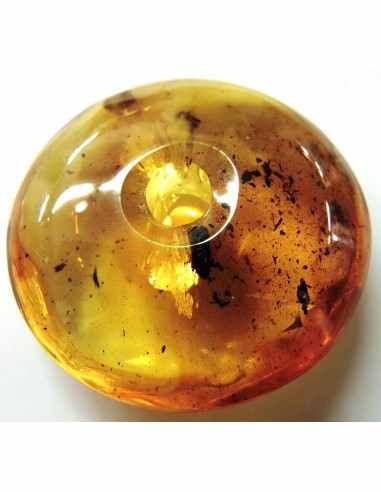 Donuts Ambre 40mm