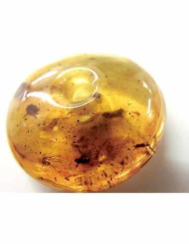 Donuts Ambre 40mm