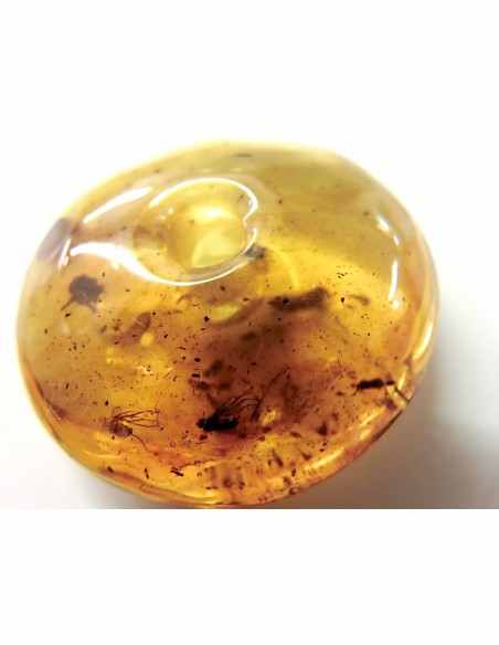 Donuts Ambre 40mm