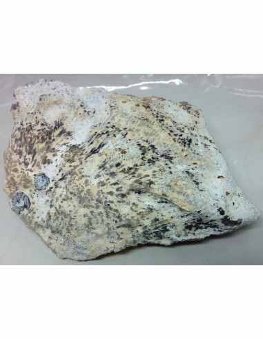 Amethyste aile d ange