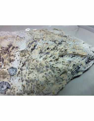 Amethyste aile d ange