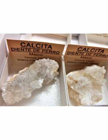 Calcite diente de perro