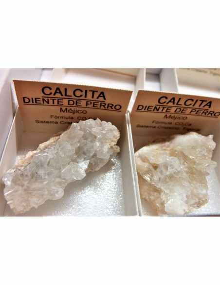 Calcite diente de perro Calcite diente de perro