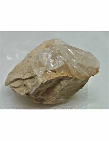 Calcite diente de perro