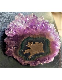 Amethyste cactus
