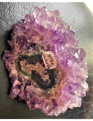 Amethyste cactus