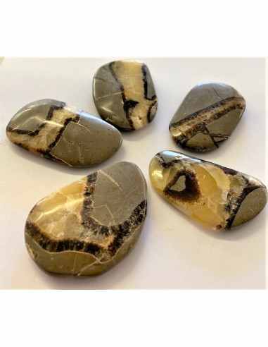 Septarian polis 40 a 50mm