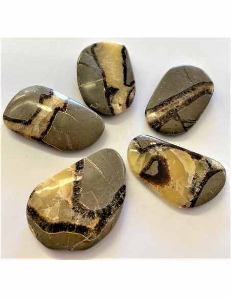 Septarian polis 40 a 50mm