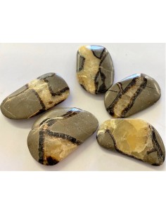 Septarian polis 40 a 50mm 2