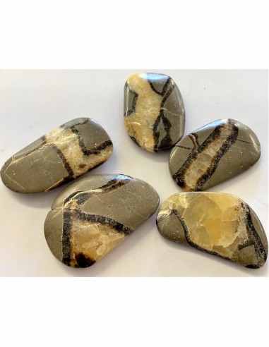 Septarian polis 40 a 50mm