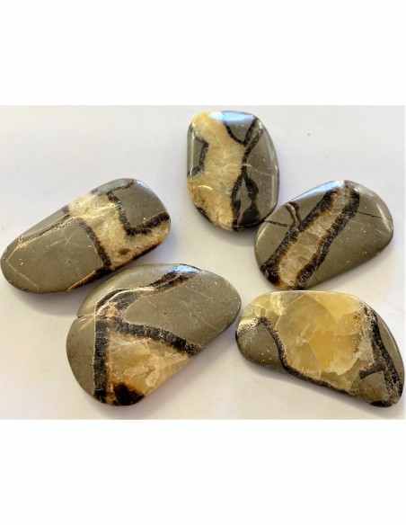 Septarian polis 40 a 50mm