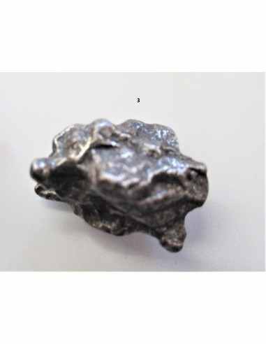 Pendentif Meteorite Argentine