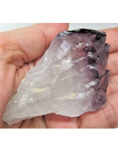 Brandenberg sept pointes