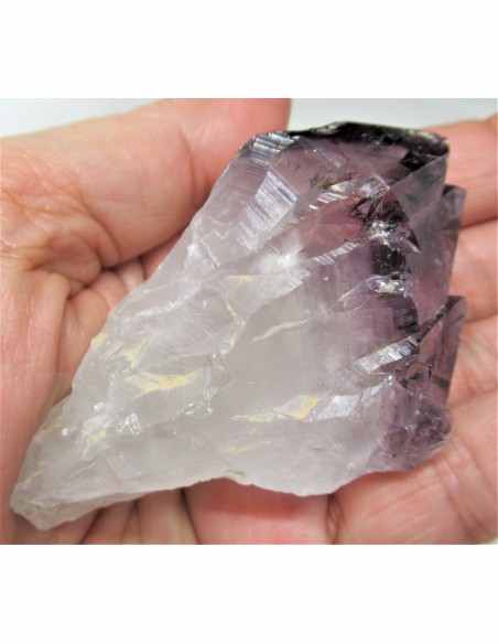 Brandenberg sept pointes Brandenberg sept pointes