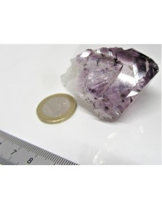 Brandenberg sept pointes 2