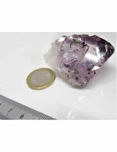 Brandenberg sept pointes